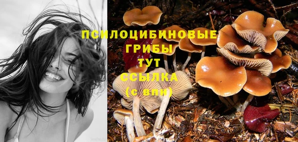 гашик Бронницы