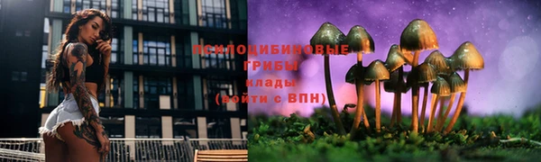 гашик Бронницы