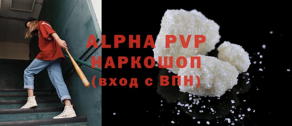 2c-b Бородино