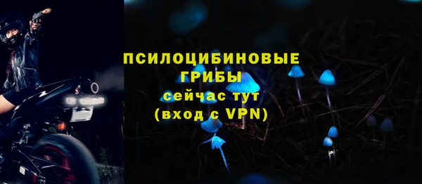 2c-b Бородино