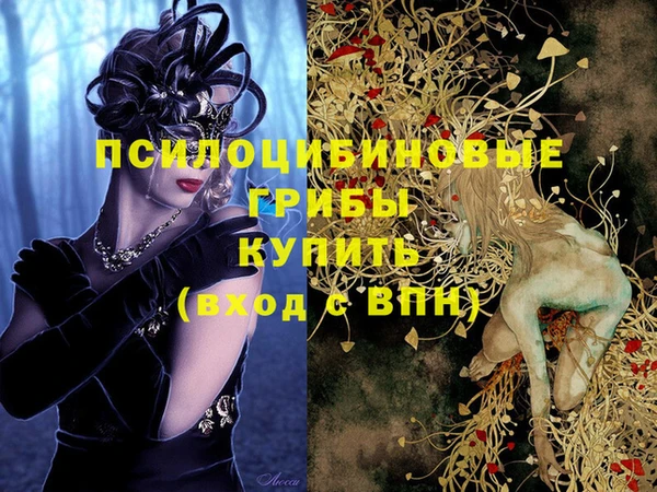дурь Волоколамск