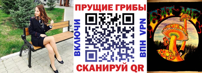 закладка  Задонск  ОМГ ОМГ маркетплейс  Галлюциногенные грибы мухоморы 